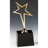 Comet Gold Star Award