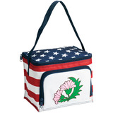 Stars & Stripes 6 can cooler